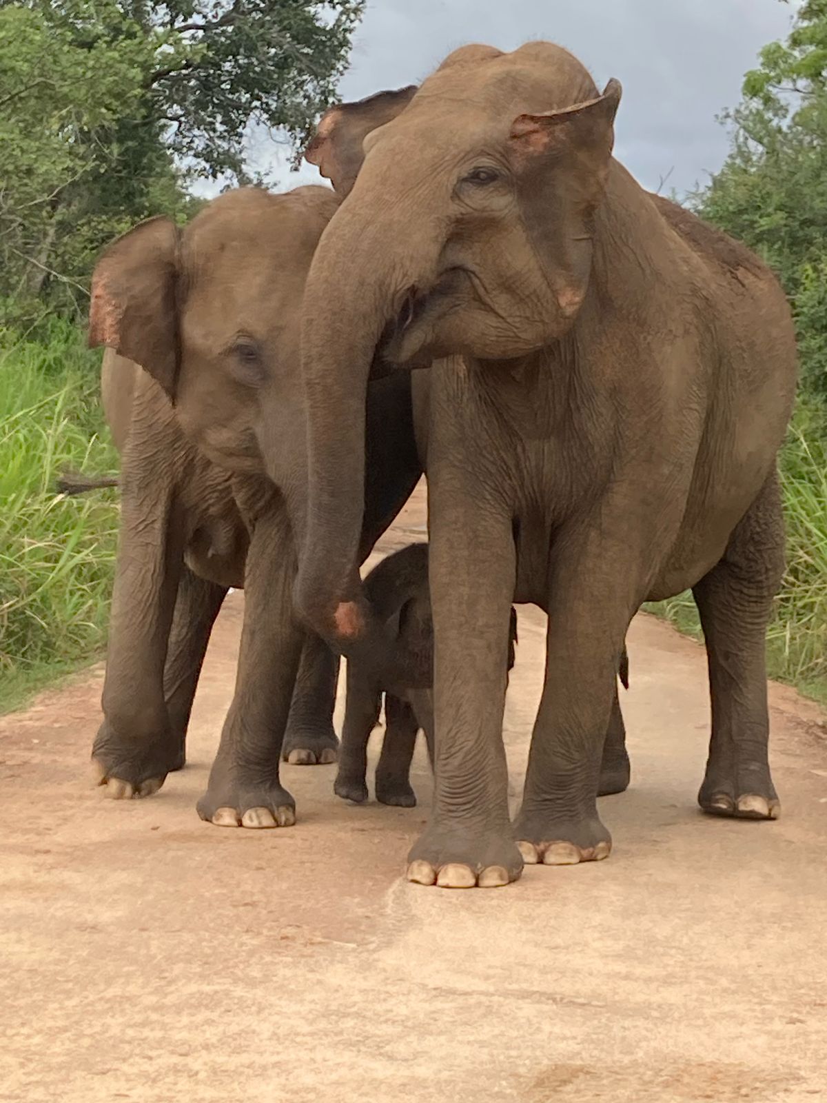 WhatsApp Image 2025-06-13 at 11.28.31_96b3194d