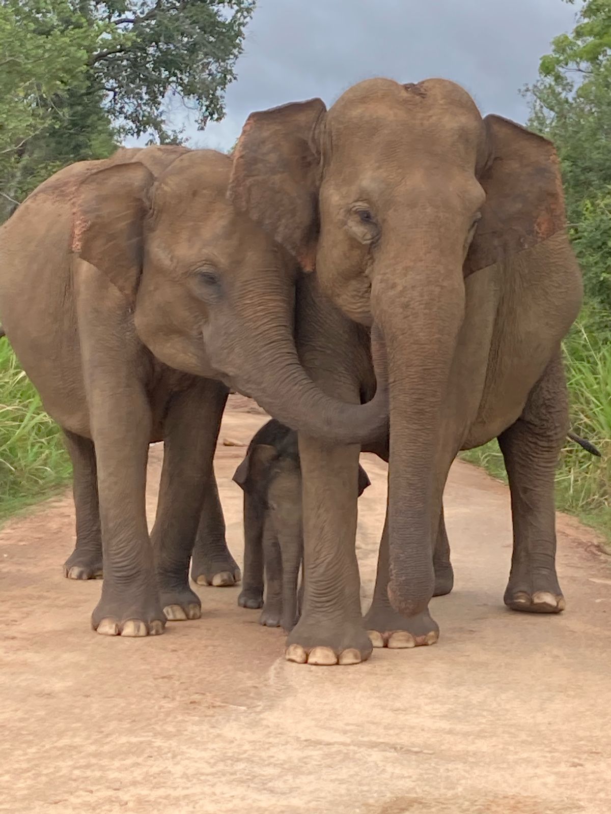 WhatsApp Image 2025-06-13 at 11.28.34_81cb7f7d