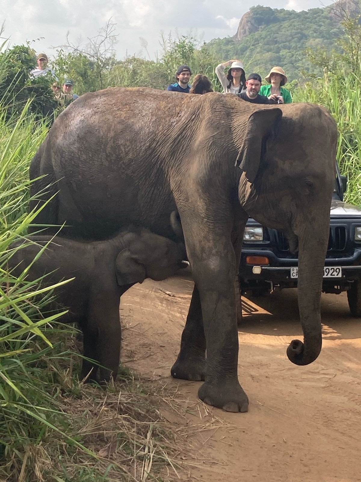 WhatsApp Image 2025-06-13 at 11.28.42_330d62a8