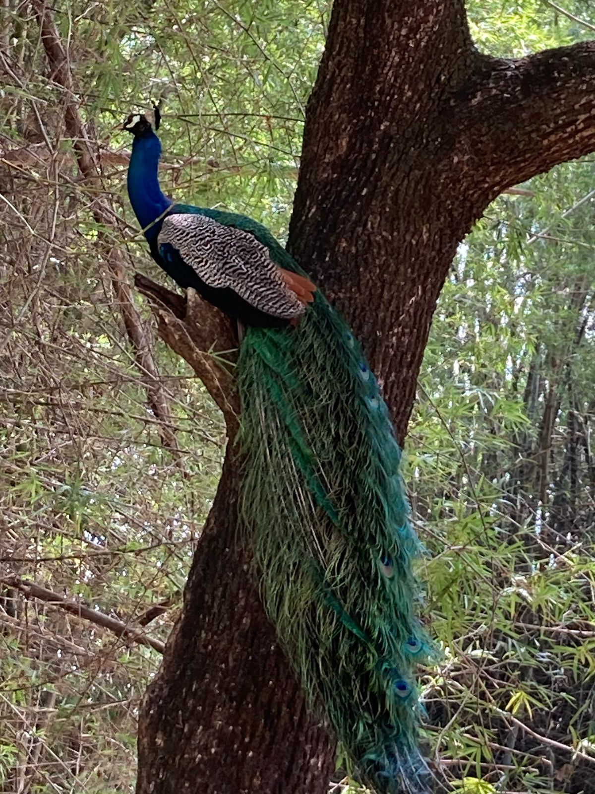 WhatsApp Image 2025-06-13 at 11.28.44_ffcbdbf7