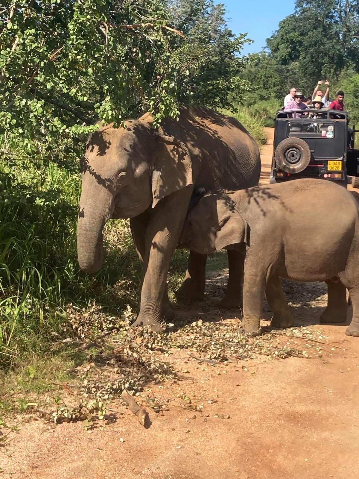 WhatsApp Image 2025-06-13 at 11.28.45_171ceb29