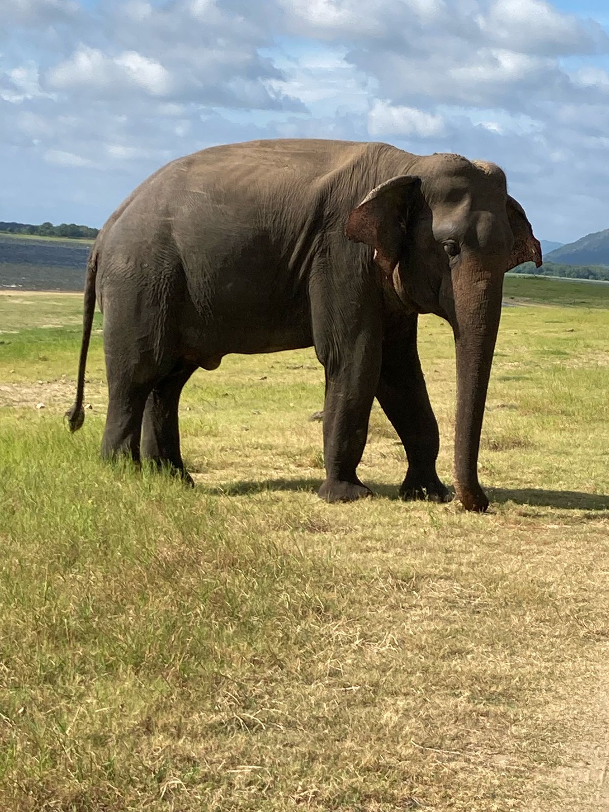 WhatsApp Image 2025-06-13 at 11.28.53_0b19213d