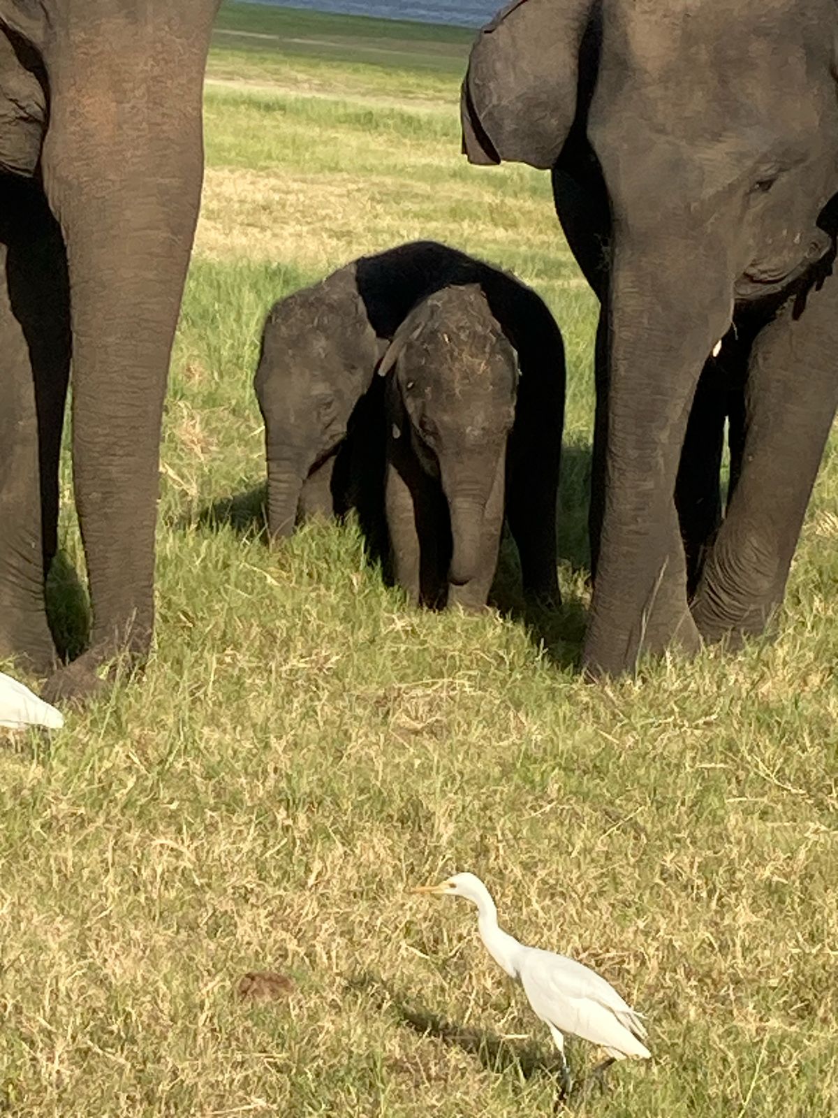 WhatsApp Image 2025-06-13 at 11.28.53_105ae329