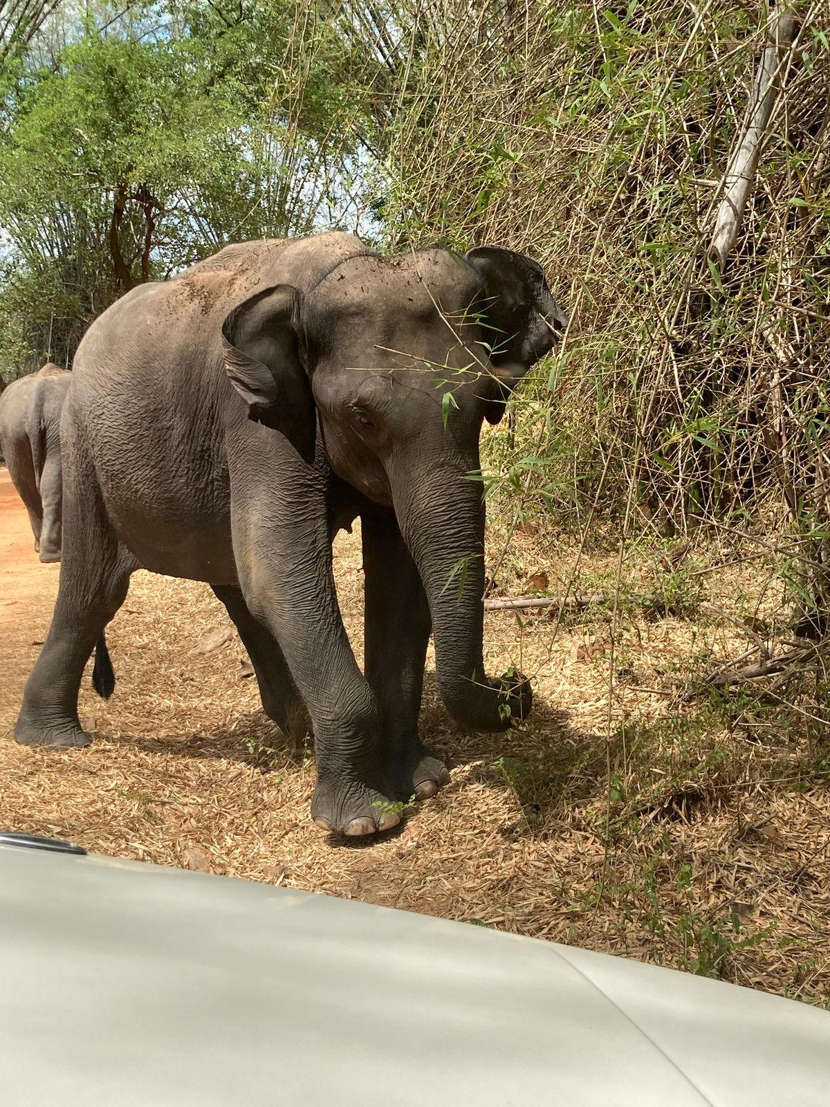 WhatsApp Image 2025-06-13 at 11.28.54_9f5d92ed